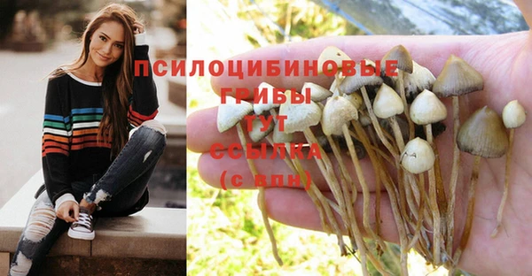 хмурый Алексеевка