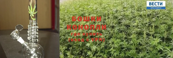 гашишное масло Аркадак