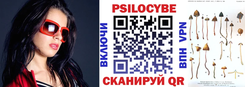 Псилоцибиновые грибы Magic Shrooms продажа наркотиков Ельня